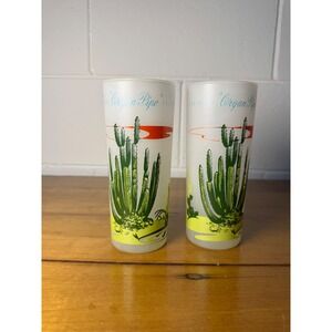 Set of 2 Vintage Organ Pipe Cactus Souvenir Frosted Glasses